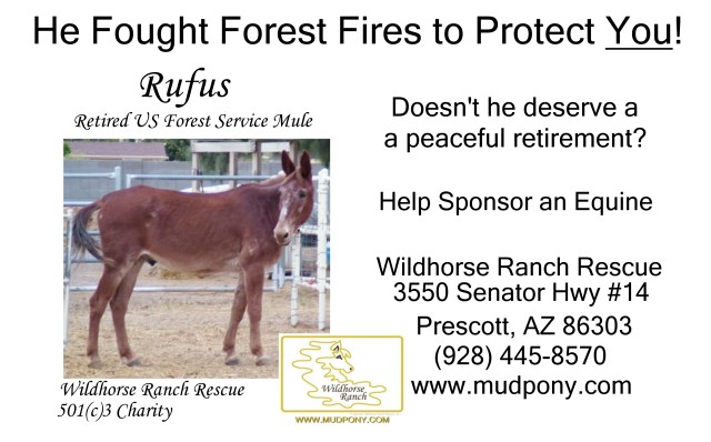 Buy 2 Bags of Senior Feed for a retired US Forest Service Equine