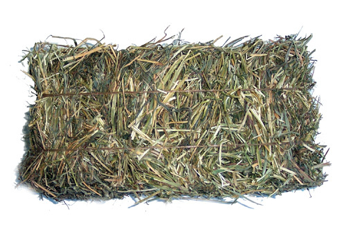 Buy a Bale of Hay ! 
